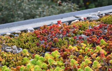 the cost of Ditherington green roof installation