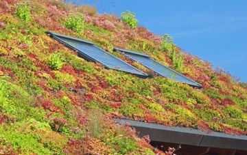 Ditherington living roof systems